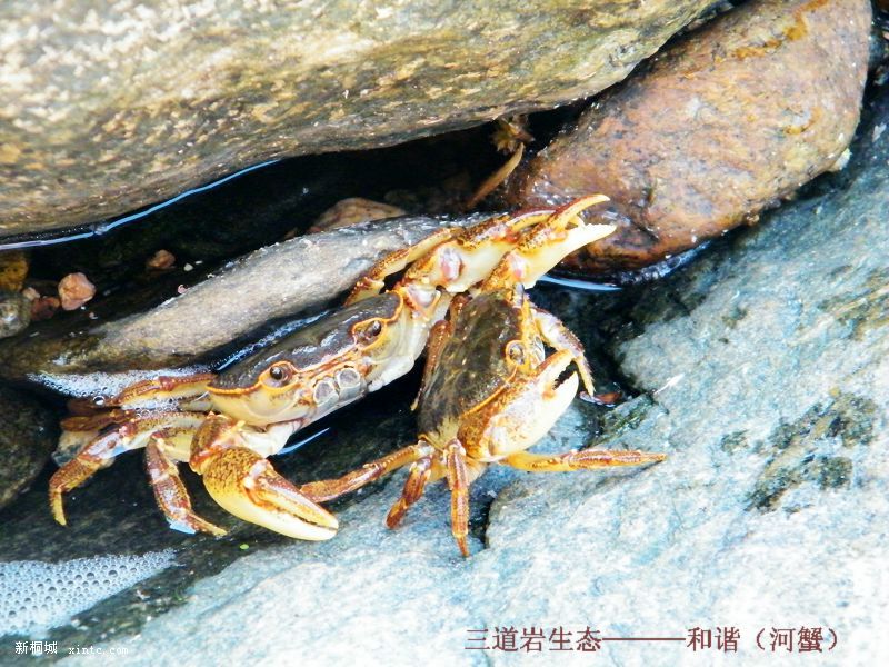 ��г��з��