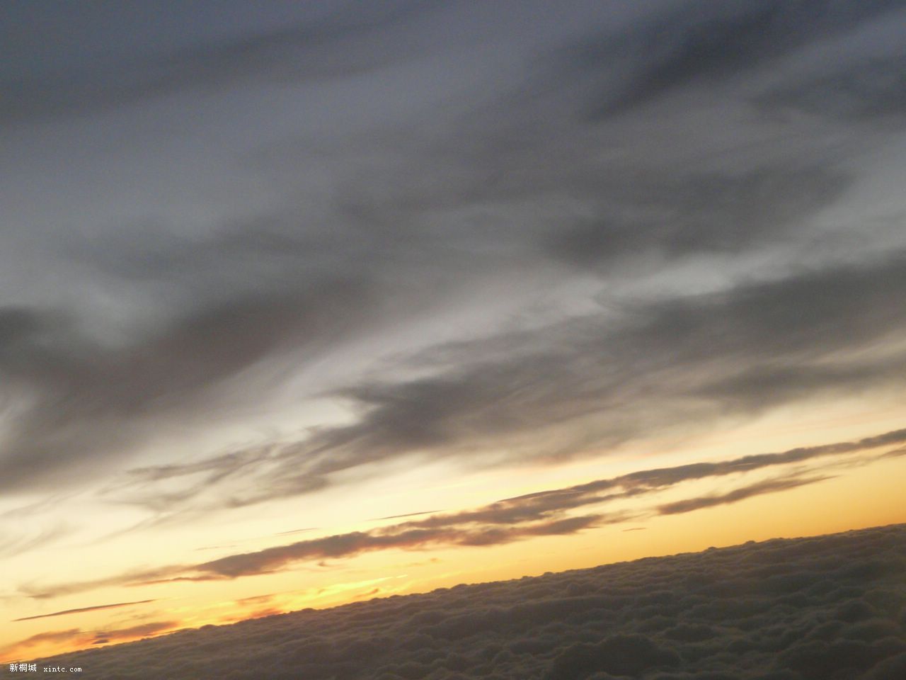 �����޻�