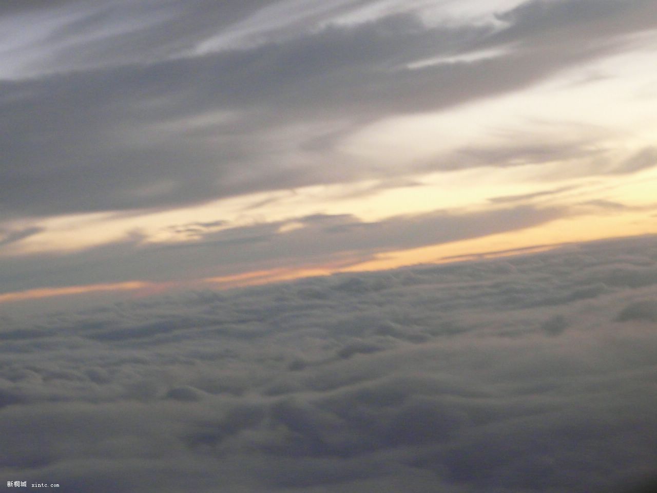 ������.....