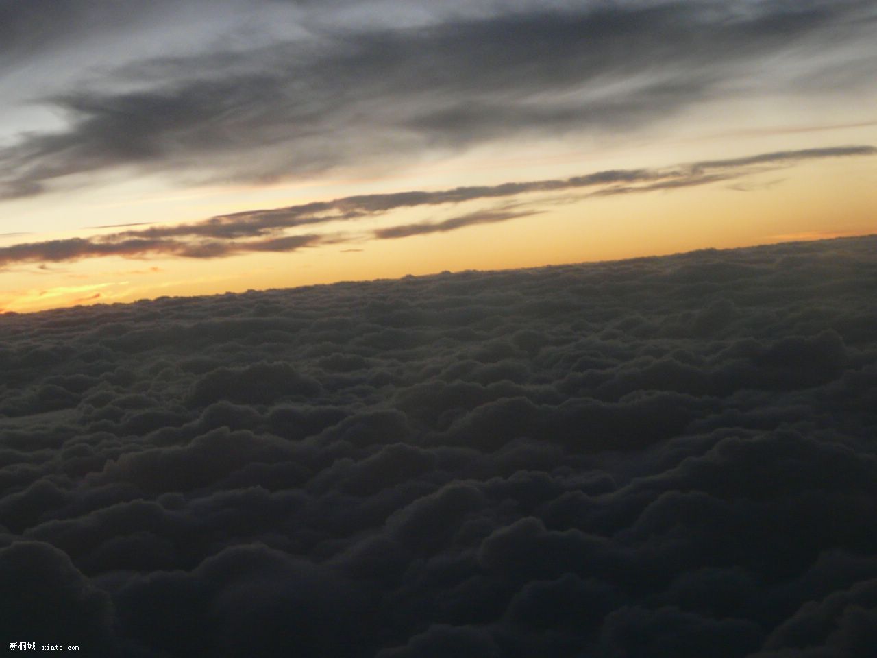 �콥������