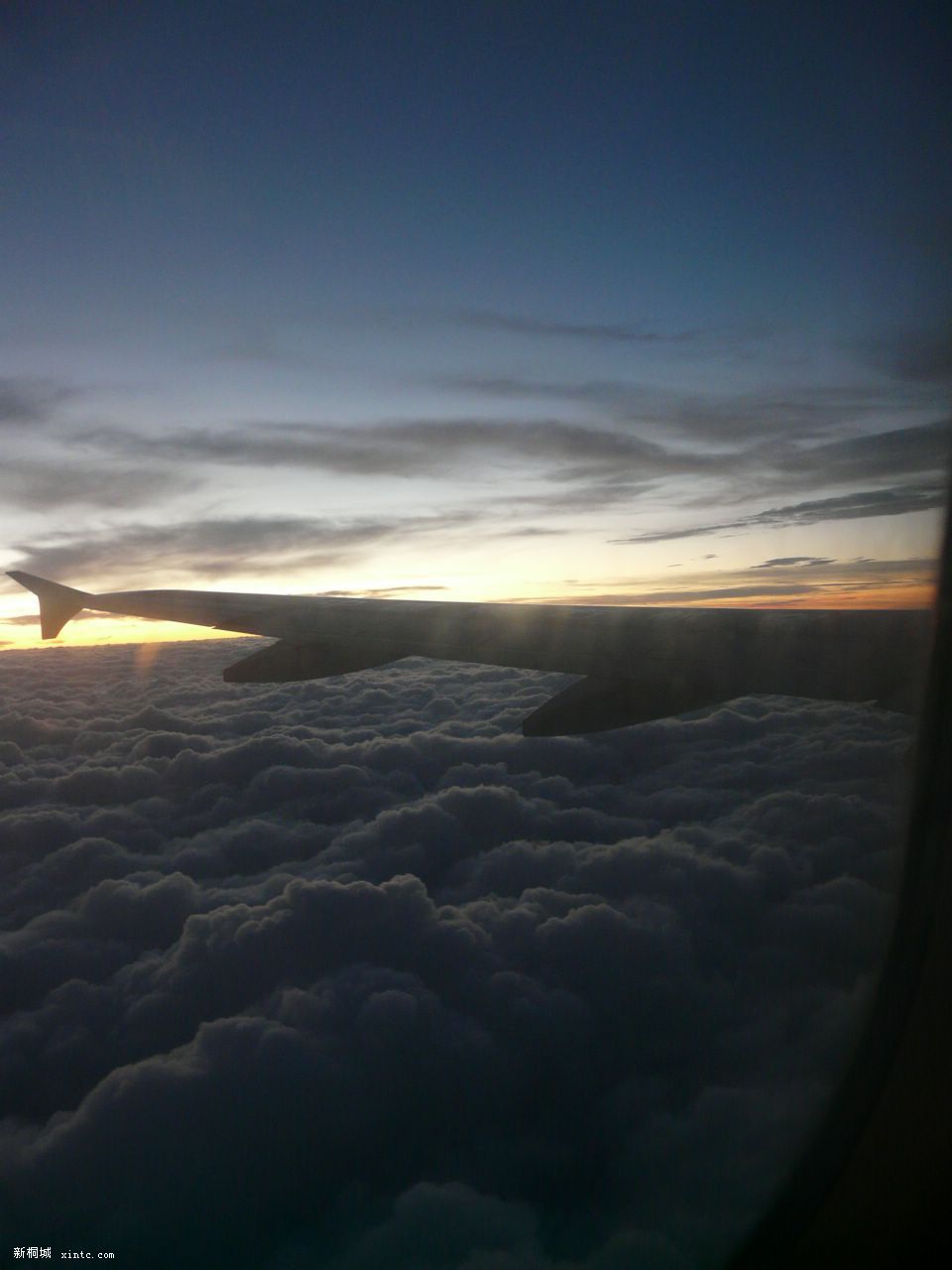 ����ľ�ɫ���ǲ�����