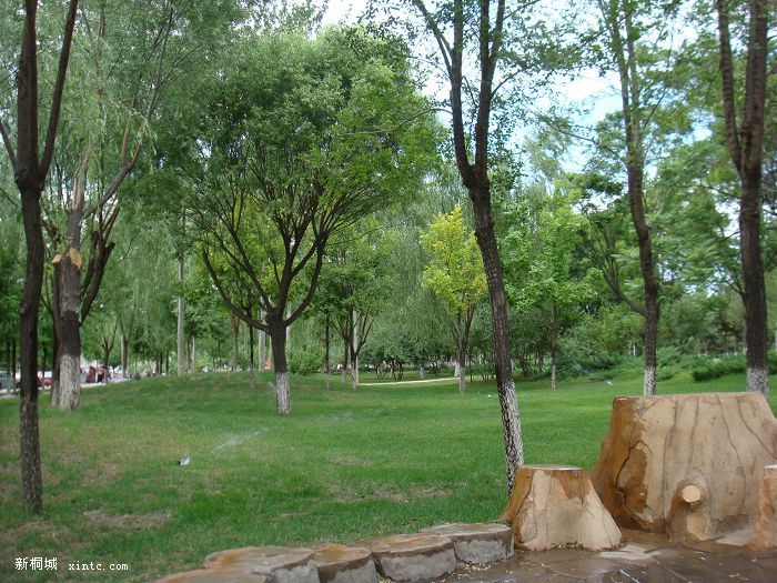 DSC02222 - ����.jpg