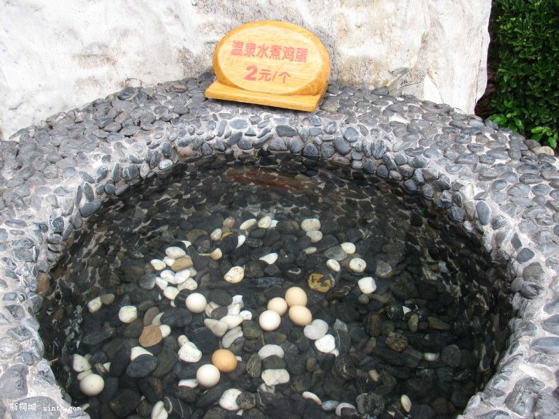 ��Ȫ�󼦵���2��Ǯһ��