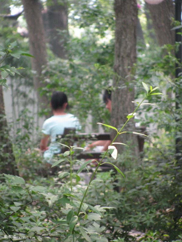 �����ֵ�����