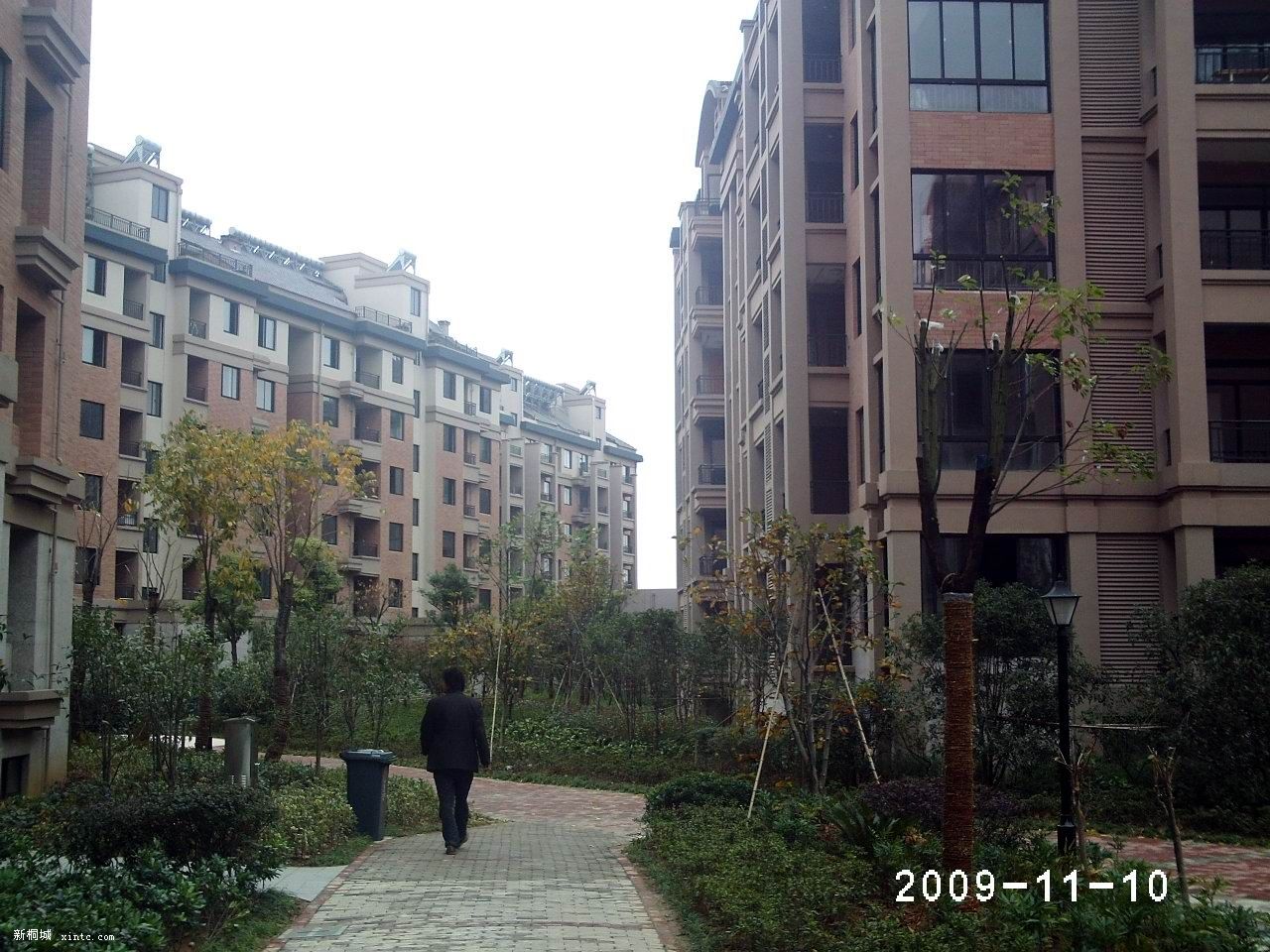 �¶������ͳ�