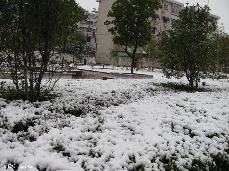 ��֪����С��԰