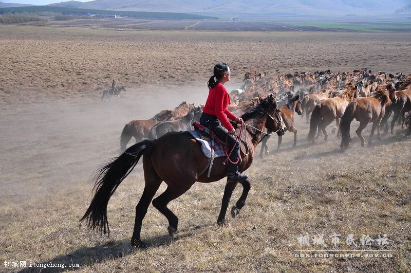 ���㽱 ��׿���ۡ�.jpg