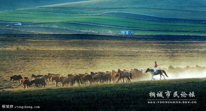 ���㽱 �������顷.jpg