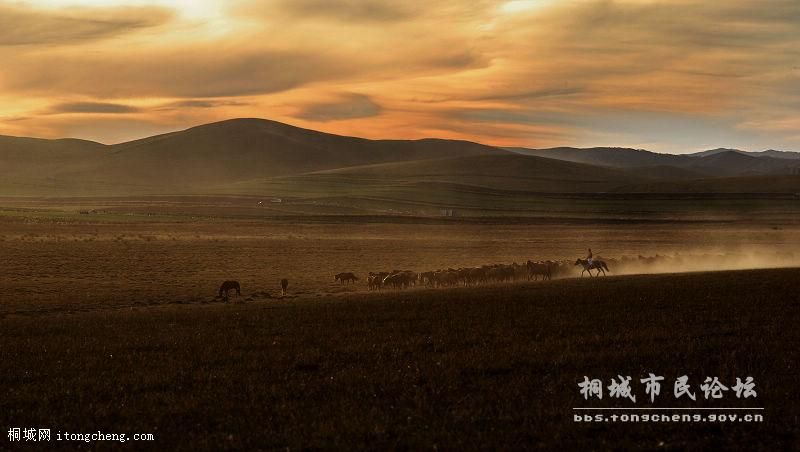 ���㽱 ղ�ܡ����衷.jpg