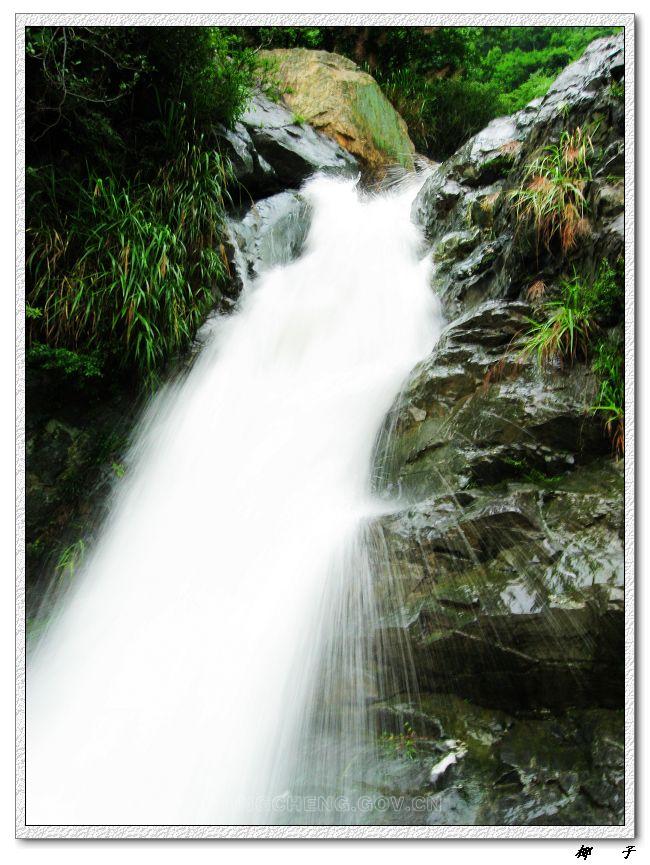 �������ٲ�