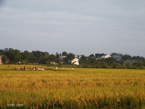 �Ҵ��������