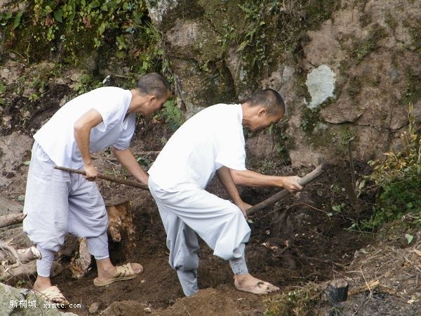 ������ɮ��