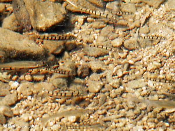 20081017_29fc1668d321ccb218d5HL3Aw9LIPr5U.jpg
