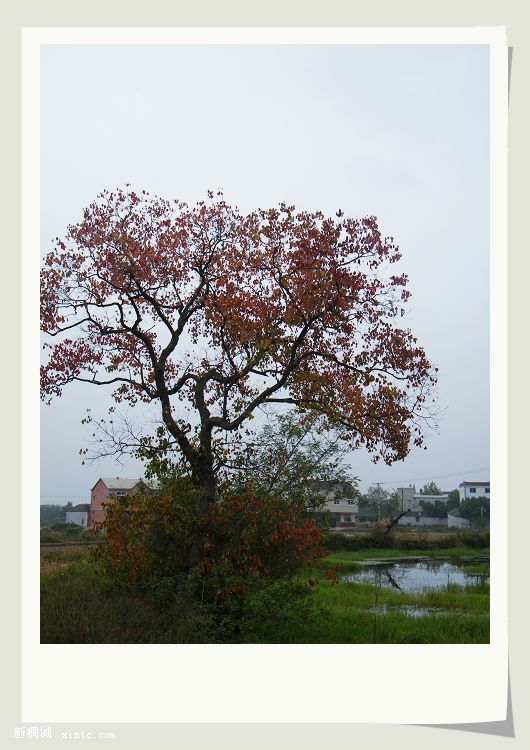 DSCF5629.jpg
