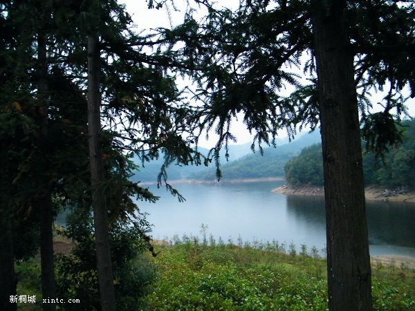 DSCF6073.jpg