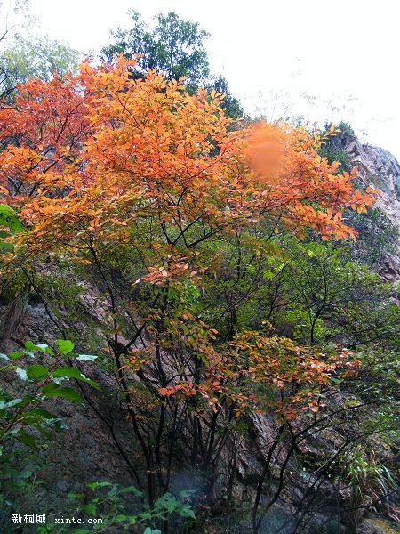 DSCF6030.jpg