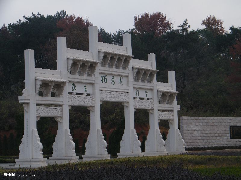 DSCF9417.jpg