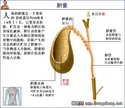 106328cbce6.jpg