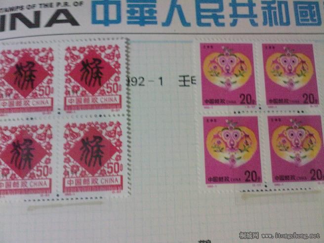 SP_A0010.jpg