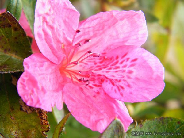 Ϊ˭���?����ʲô�����ˣ��ž顣