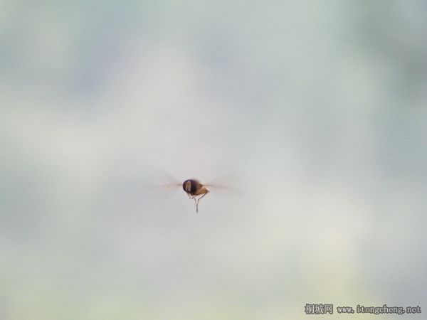 ���������Ϯ��