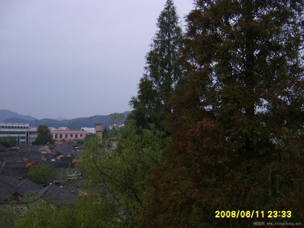 S6001274.JPG