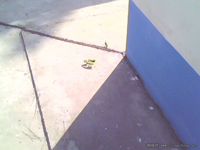 IMG0297A.jpg