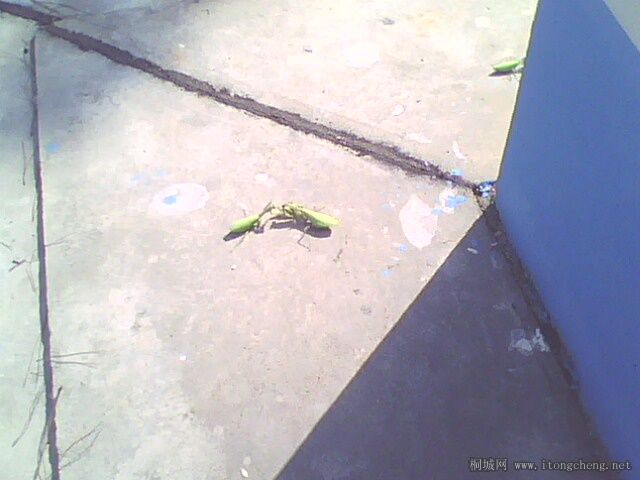 IMG0298A.jpg