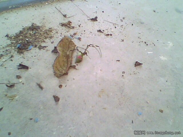 IMG0293A.jpg