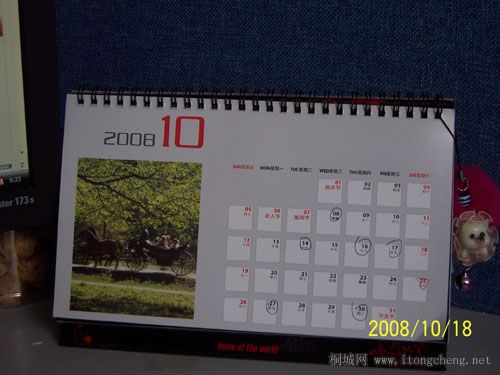 100_337777.jpg