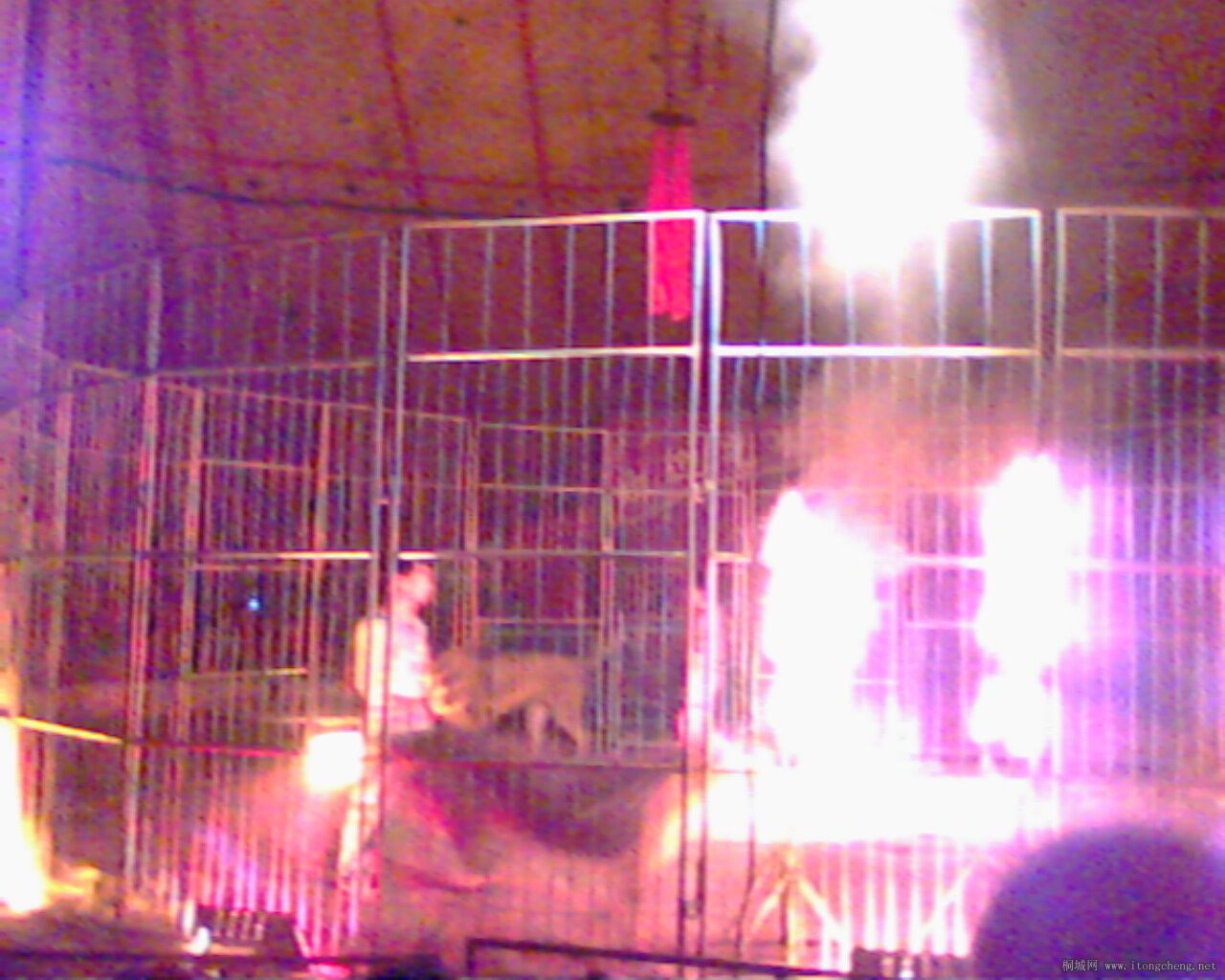 IMG0032A.jpg