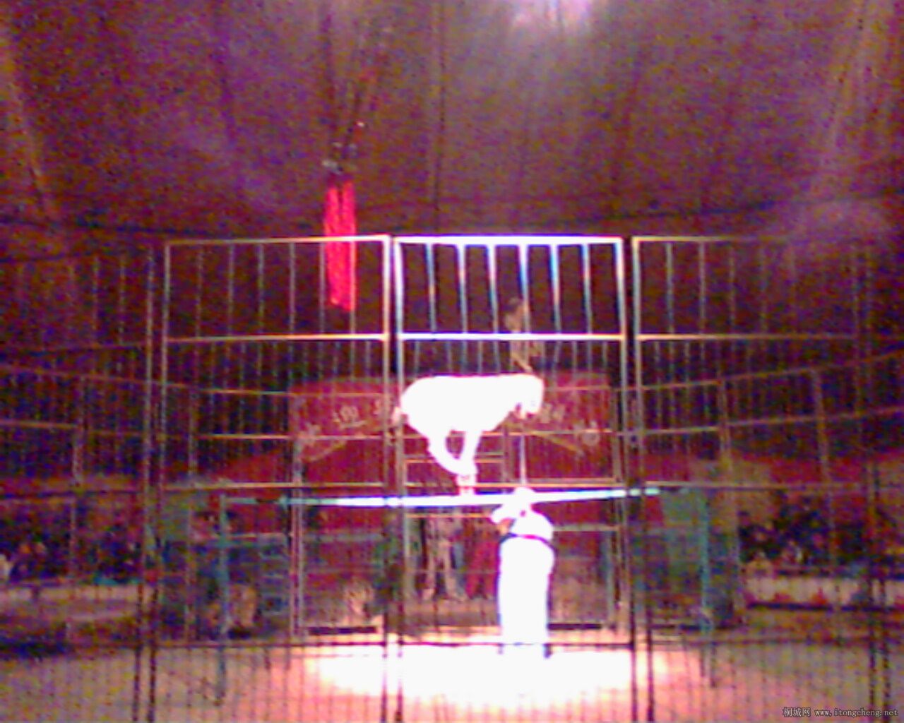 IMG0030A.jpg