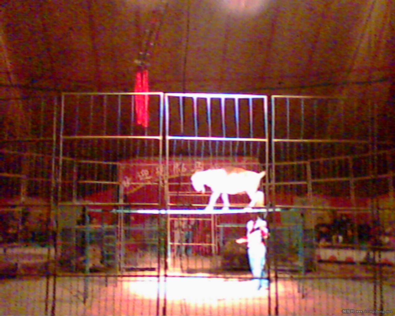 IMG0029A.jpg