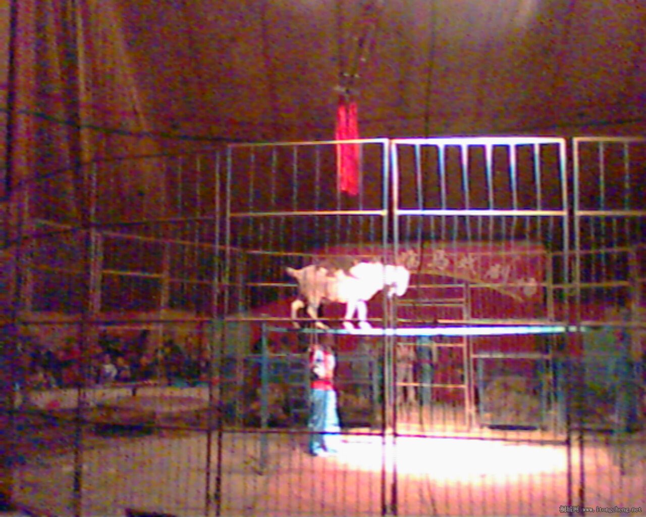 IMG0028A.jpg