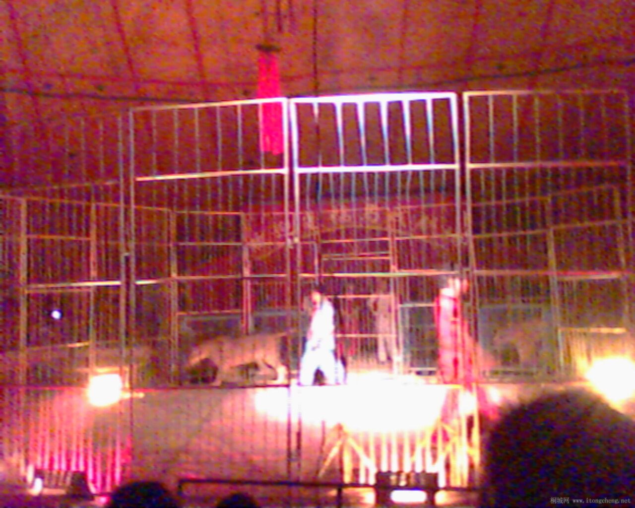 IMG0031A.jpg