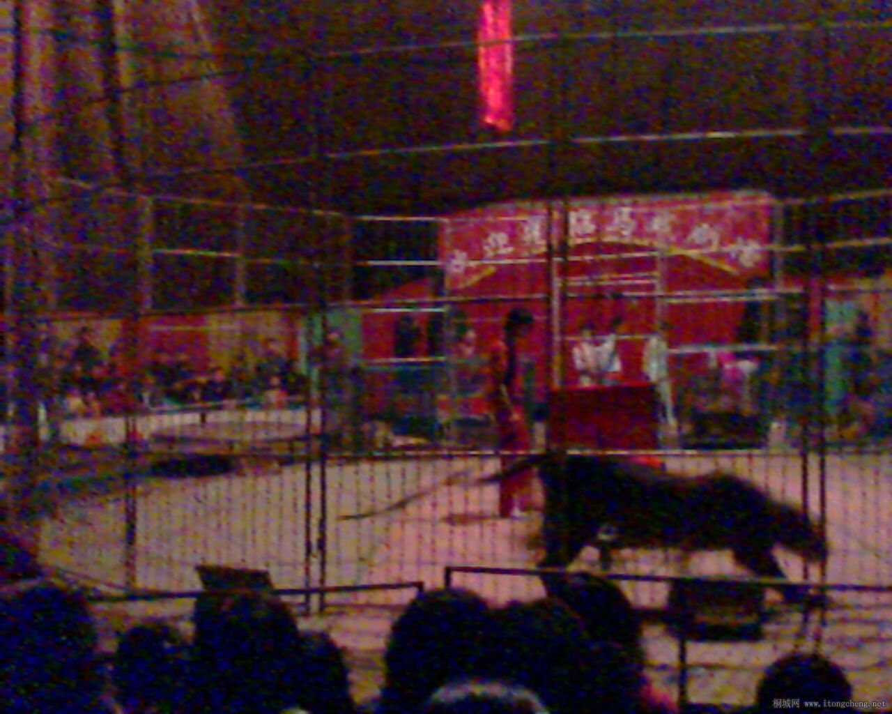 IMG0024A.jpg