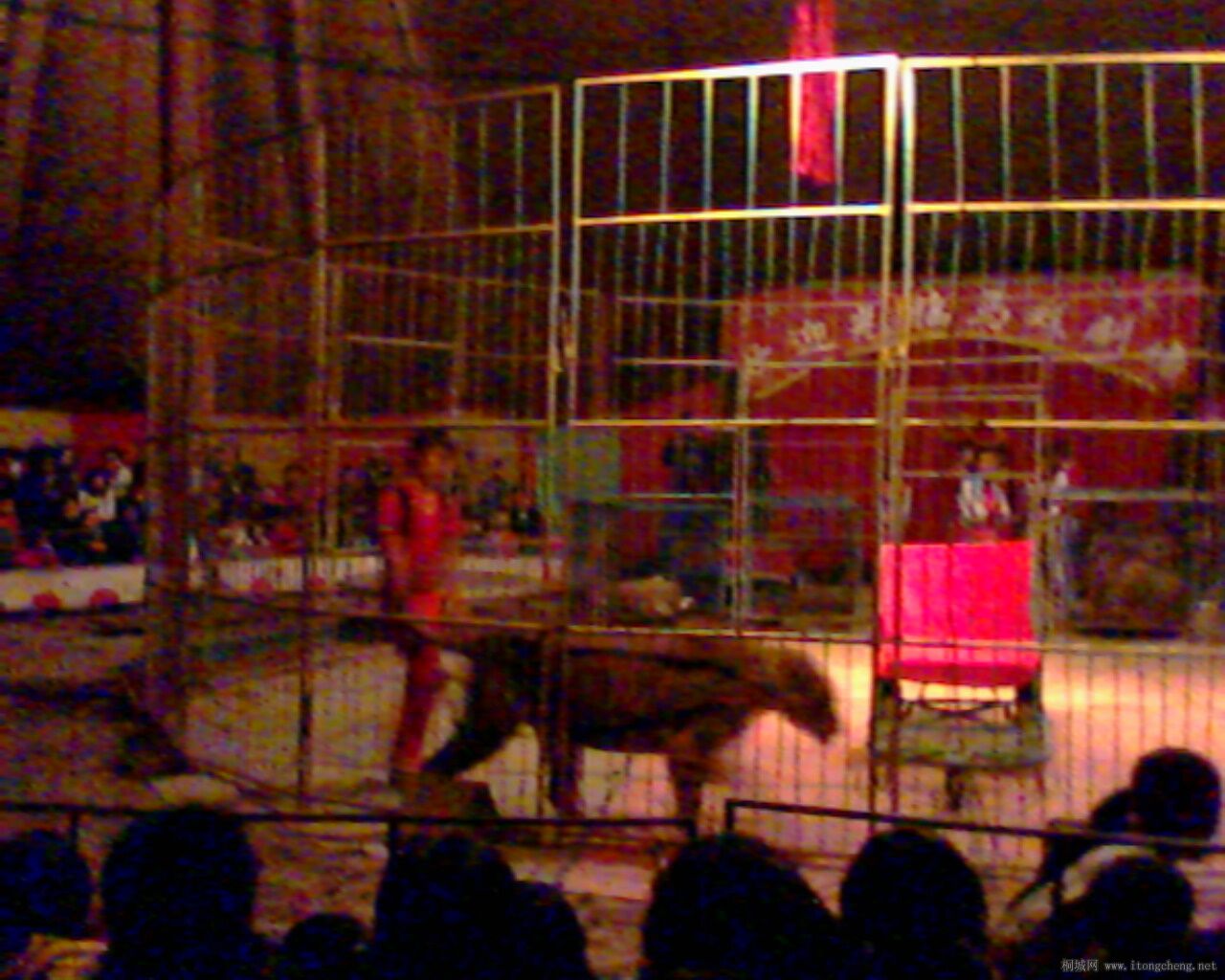 IMG0025A.jpg