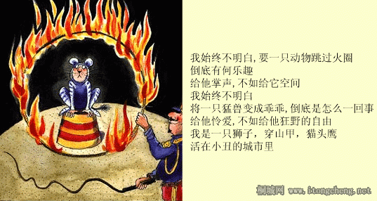 9.gif