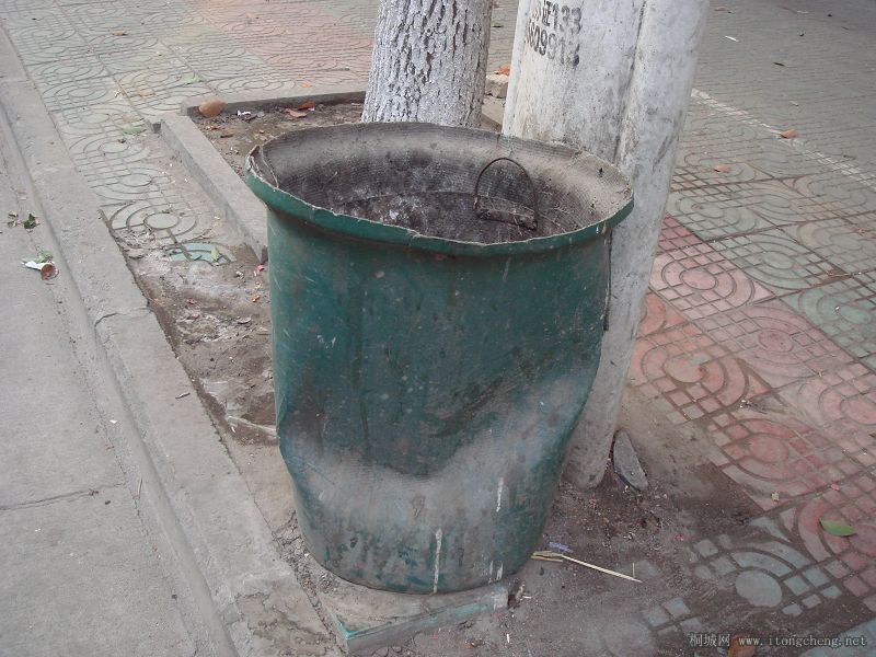DSC00095.jpg