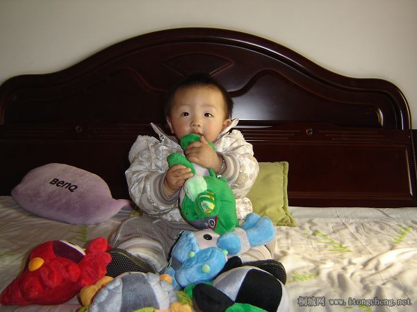 DSC01035.jpg