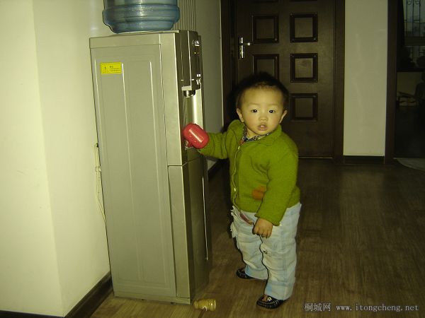 DSC01201.jpg