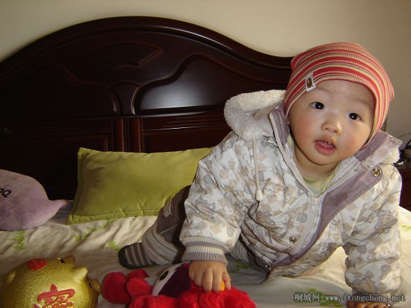 DSC01053.jpg