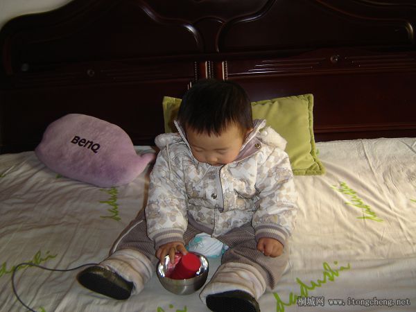 DSC01075.jpg