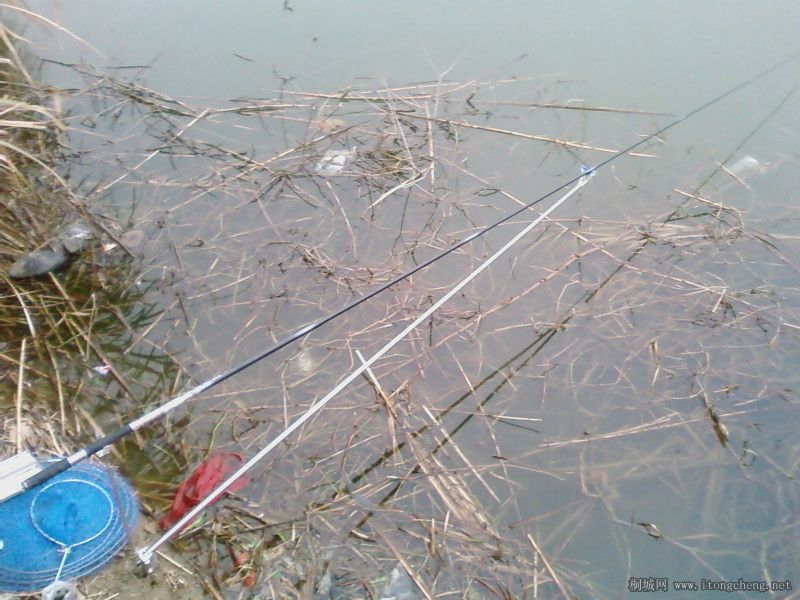 ̨��ר�øͼ� ��ͳ�3.6M