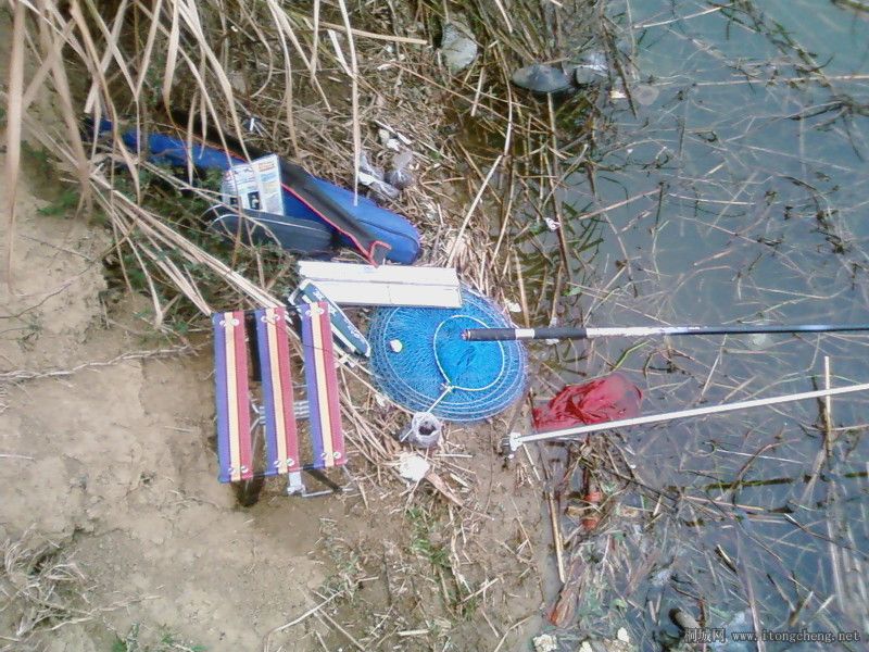 �͵��Ź��Ŵ�ʦ����