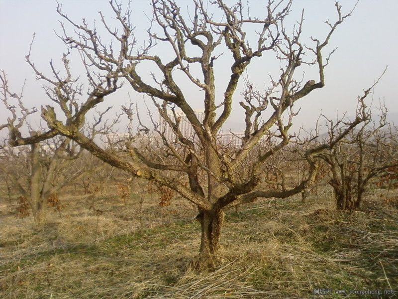 �ٺ� ���ĵ��Ǻ���Ĵ�¥