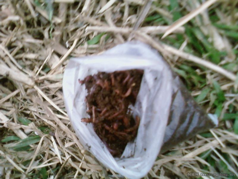 ��� ҲҪ��ƱƱ��Ŷ