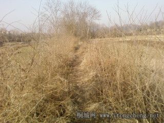 ż������ɽ��������·