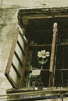 0225-3.jpg