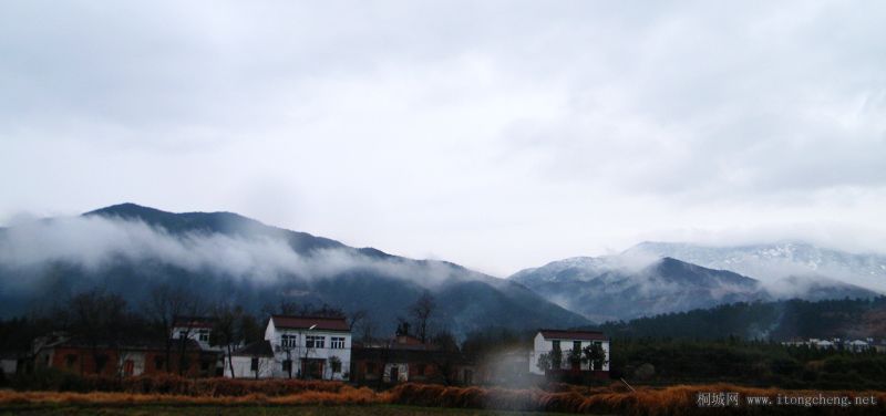 DSCF9846.jpg